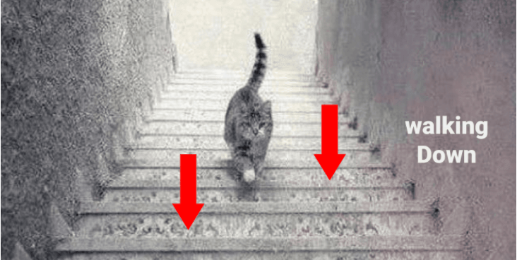 03. The cat and therefore the stairs